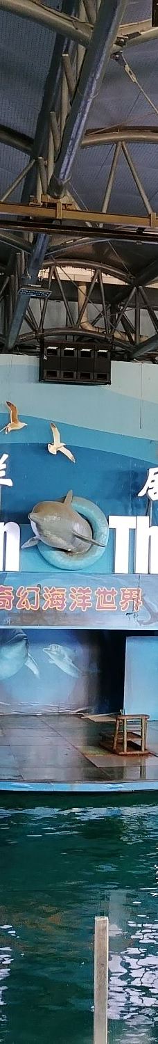 苏州海洋馆-苏州