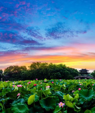 7D6N • Shanghai + Suzhou + Hangzhou + Wuxi + Nanjing + Wuzhen