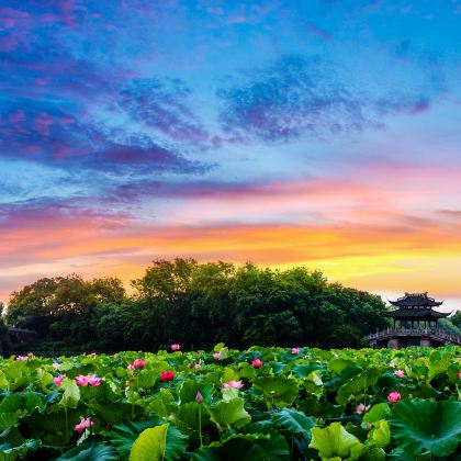 苏州+乌镇+杭州3日2晚跟团游