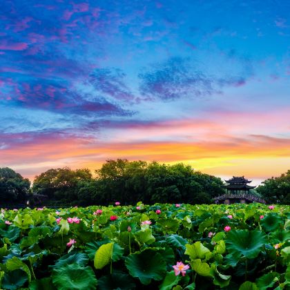 苏州+乌镇+杭州3日2晚跟团游