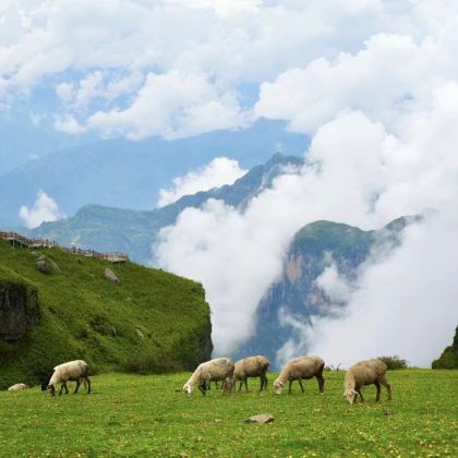 云南昭通+大山包景区2日1晚私家团