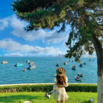 威海5日4晚拼小团