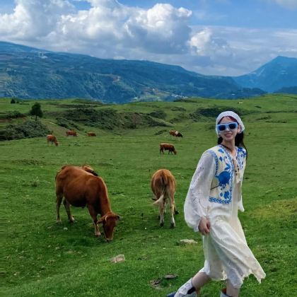 贵州黄果树景区+乌蒙大草原+马岭河峡谷景区+万峰林景区6日5晚私家团