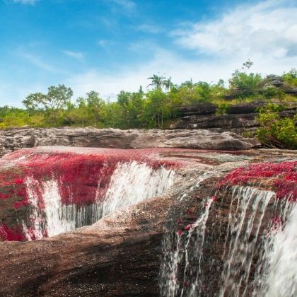 哥伦比亚caño cristales Park+波哥大+巴拿马巴拿马两洋运河博物馆9日7晚私家团