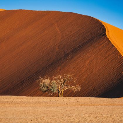 南非+纳米比亚+津巴布韦+好望角+维多利亚瀑布13日12晚私家团
