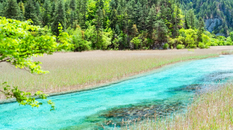 7-Day Chengdu + Jiuzhaigou + Huanglong National Scenic Area + Mount Emei + Leshan Giant Buddha