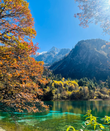 10D9N•Chengdu + Chongqing + Jiuzhaigou + Huanglong National Scenic Area + Emeishan City + Leshan