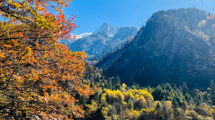 10-day 9-night · Private Tour · Chengdu + Chongqing + Jiuzhaigou + Huanglong National Scenic Area + Emeishan + Leshan