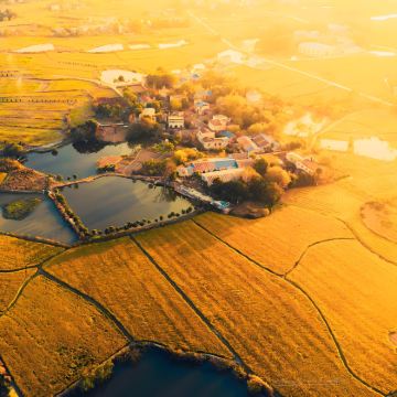 宿迁+泗洪洪泽湖湿地景区+沙家浜国家湿地公园-芦苇迷宫+三台山国家森林公园+骆马湖沙滩公园+项王故居+皂河龙运城5日4晚私家团