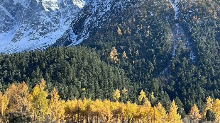 成都+四姑娘山+毕棚沟+黄龙风景名胜区+九寨沟6日5晚自由行携程自营