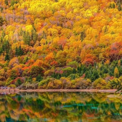 黄龙风景名胜区+九寨沟3日2晚自由行