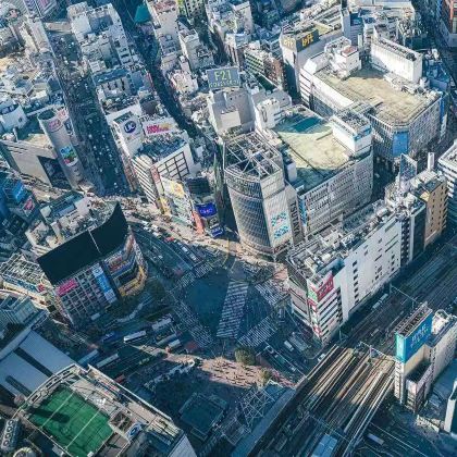 日本东京5日4晚自由行