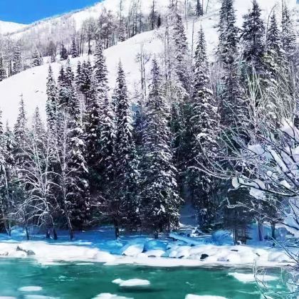 新疆阿勒泰市+喀纳斯景区+禾木风景区2日1晚拼小团