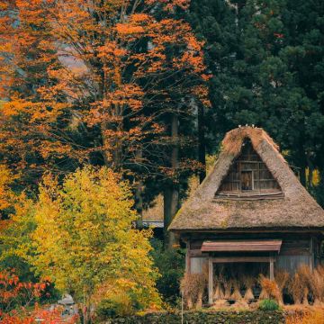 名古屋+金泽+七尾市6日5晚自由行