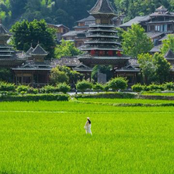 贵州贵阳+黄果树景区+荔波小七孔景区+西江千户苗寨+梵净山+万峰林景区+赤水大瀑布+中国村超圣地11日10晚拼小团