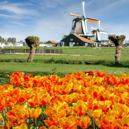 德国+奥地利+瑞士+荷兰5日4晚跟团游