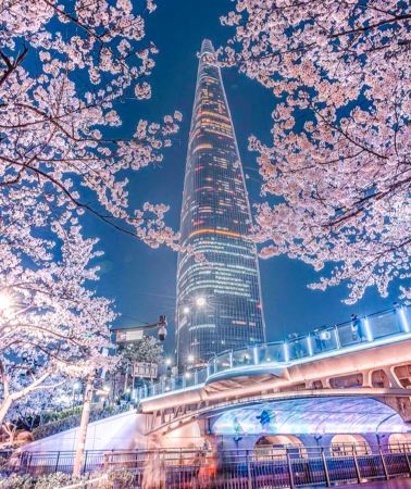 4D3N • South Korea + Seoul Enjoy consecutive stays in downtown Seoul and visit Nami Island, Metasequoia Lane, LEGOLAND, Everland, and take a Han River cruise. 