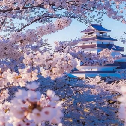 大阪+奈良市+京都+富士山+东京7日6晚私家团