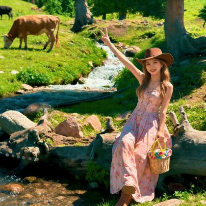 新疆乌鲁木齐+伊犁8日7晚自由行