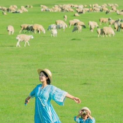 木兰围场+乌兰布统旅游区+塞罕坝国家森林公园+坝上3日2晚私家团