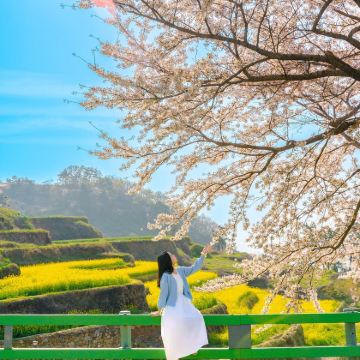 韩国济州岛4日3晚自由行