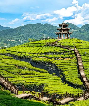 3D2N • Enshi City + Enshi Grand Canyon Scenic Area + Enshi Suobuya Stone Forest Scenic Area
