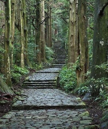 2D1N • Kumanokodo 2 Day Walking Tour from Osaka