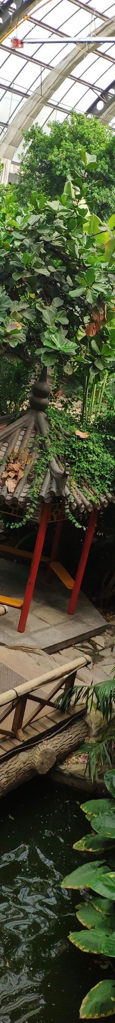 天津热带植物观光园-天津