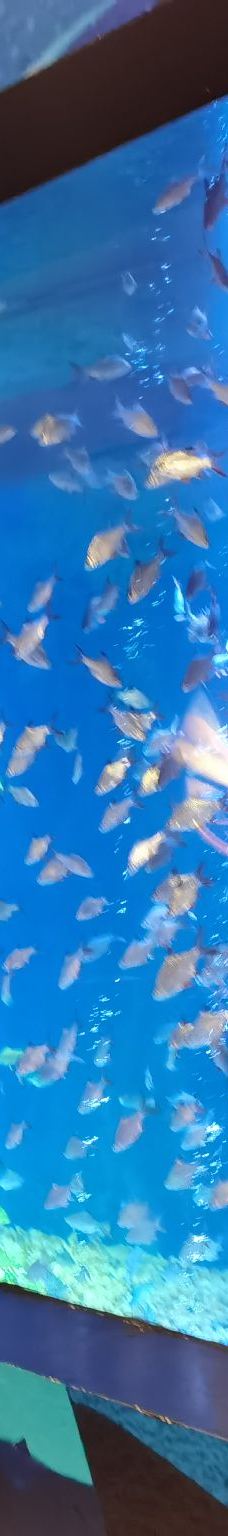 海滨城浩海立方海洋公园-成都