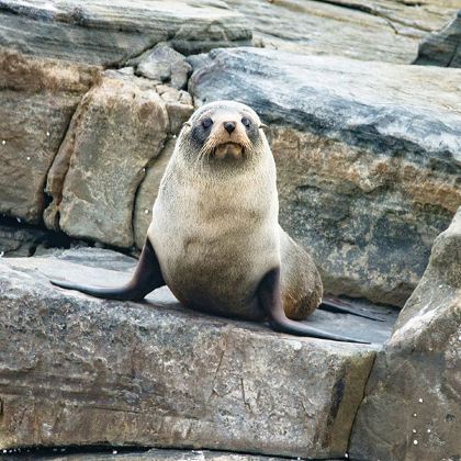 澳大利亚阿德莱德5日4晚跟团游