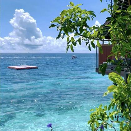 马来西亚吉隆坡+仙本那+亚庇8日7晚私家团