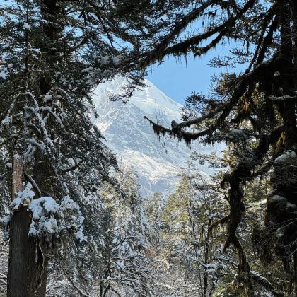 贡嘎雪山+海螺沟+牛背山+成都4日3晚私家团