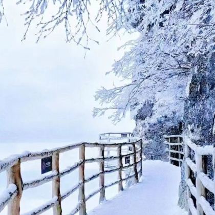 陕西汉中汉中龙头山国际旅游度假区+诸葛古镇+兴汉胜境2日1晚跟团游