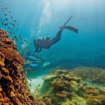 澳大利亚悉尼+墨尔本+凯恩斯+黄金海岸+新西兰北岛+南岛15日12晚跟团游