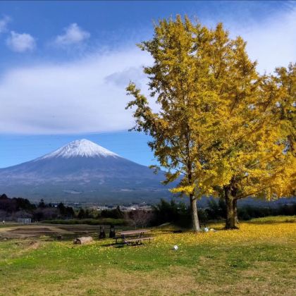 日本东京+富士山6日5晚拼小团