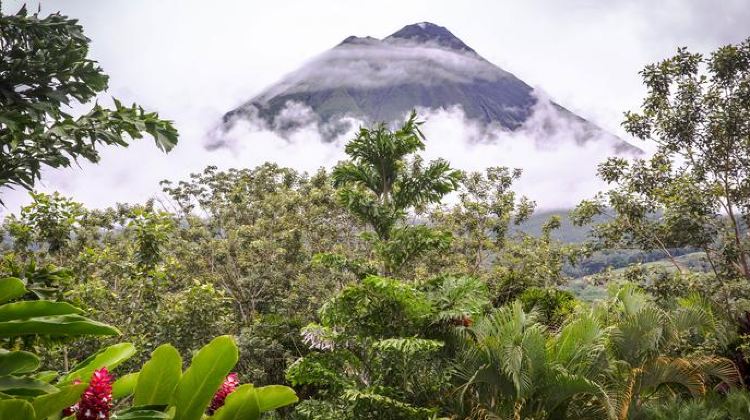 17-Day Basic Central America Tour from Antigua Guatemala to San José · Copán, Suchitoto, León, Granada, Monteverde and La Fortuna