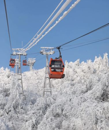 2D•Explore Chengdu's Timeless Charm: Xiling Snow Mountain, Du Fu Thatched Cottage, Wuhou Shrine, Kuanzhai Alleys, Jinli Ancient Street.