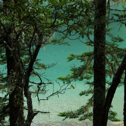 丽江+无底湖+稻城亚丁+泸沽湖6日5晚拼小团