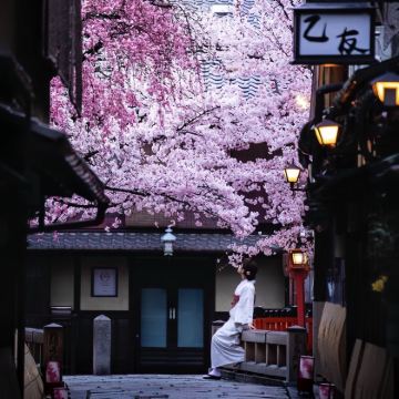日本东京+富士山+富士河口湖町4日3晚拼小团