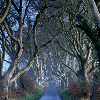 英国5日4晚跟团游