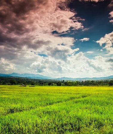 10D9N • 10 Day Motorcycle Tour (Amazing Thailand) from Chiang Mai