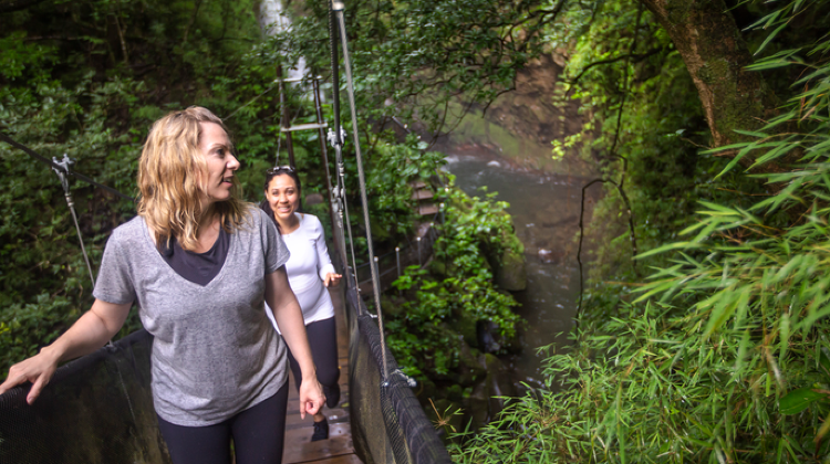 6-Day Costa Rica Tour from Liberia to Playa Flamingo · Rincón de la Vieja Volcano National Park