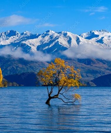 2D1N • Christchurch to Queenstown 2-Day Transfer Via Franz Josef