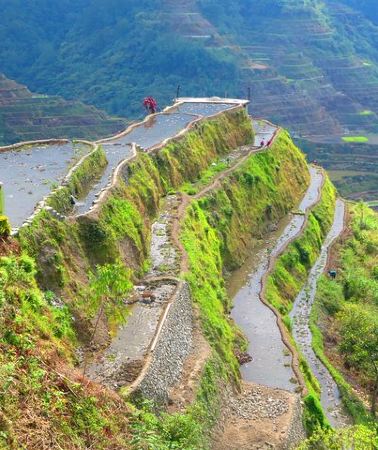 3D2N • Banaue Rice Terraces Escape: 3 Days, 2 Nights with Transfers