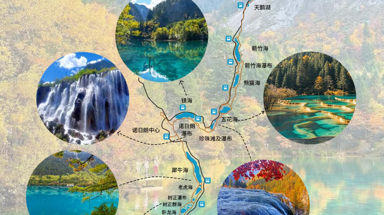 成都+2