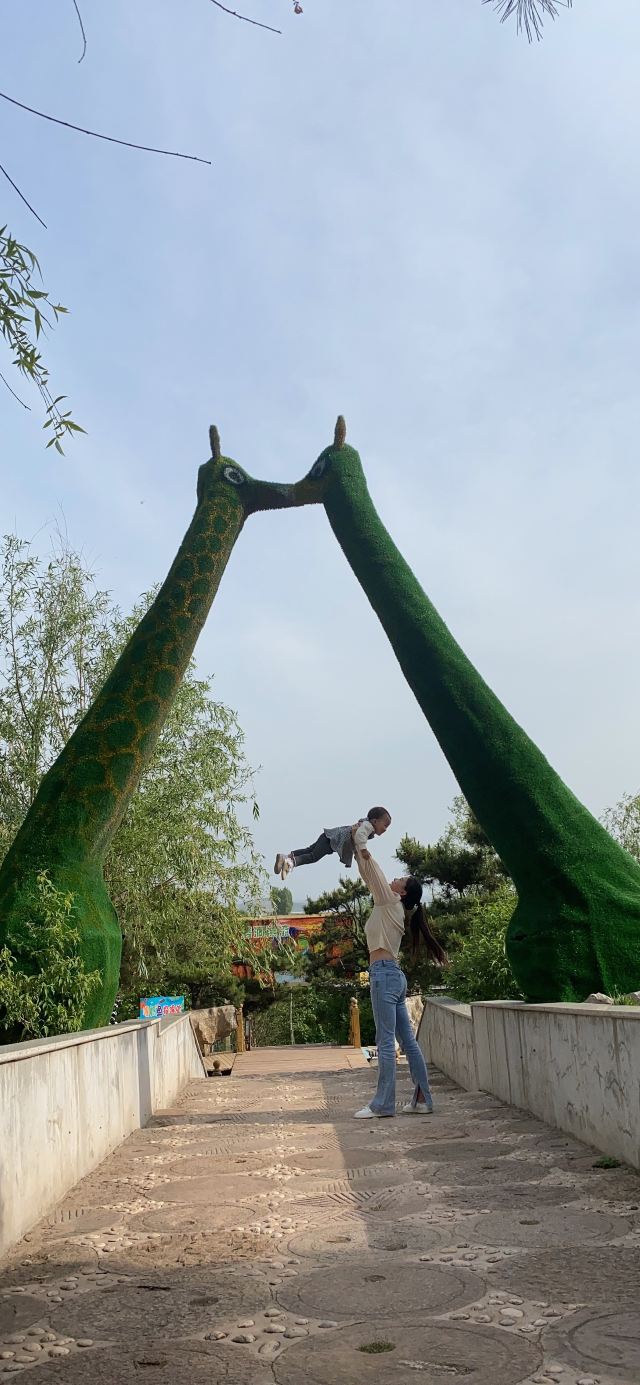 宝山前野生动物园旅行图片 4