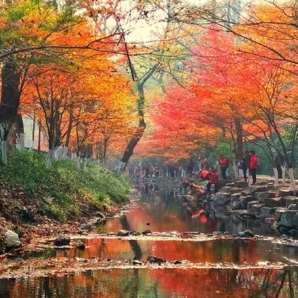 绍兴柯岩风景区+杭州九溪烟树+湘湖+鲁迅故里景区3日2晚私家团