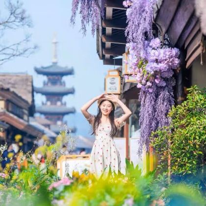 苏州+无锡+周庄+上海5日4晚跟团游