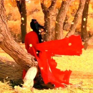 额济纳胡杨林旅游区+金塔胡杨林+巴丹吉林沙漠+黄河石林国家地质公园8日7晚拼小团