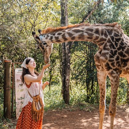 肯尼亚内罗毕+安博塞利+马赛马拉国家公园+奈瓦沙+纳库鲁9日7晚拼小团
